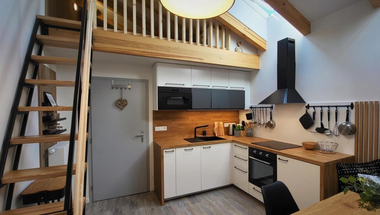 Apartmán Loft Rezidence Vista Rokytnice nad Jizerou Exteriér fotografie